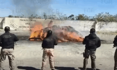 FGR incinera más de 2 toneladas de droga en Jalisco