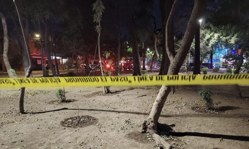 🔴 Ejecutado en parque de Polanco