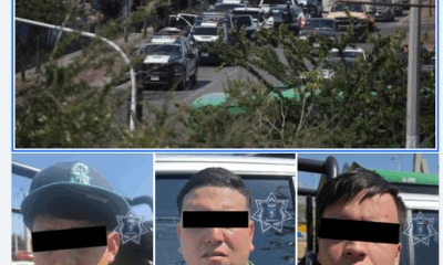 Robos en Zapopan el pan de cada día